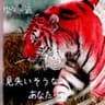 見失いそうなあなたへ/アナナスココ