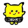 黒猫祭なのです