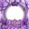 ‪🪻‬Thanks_LILAC