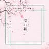 朗読「零れ桜」作 ろこ