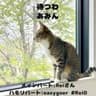 待つわ/あみん Reiさん主旋律とコラボ