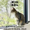 待つわ/あみん Reiさんハモリとコラボ