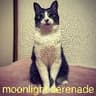 moonlight serenade