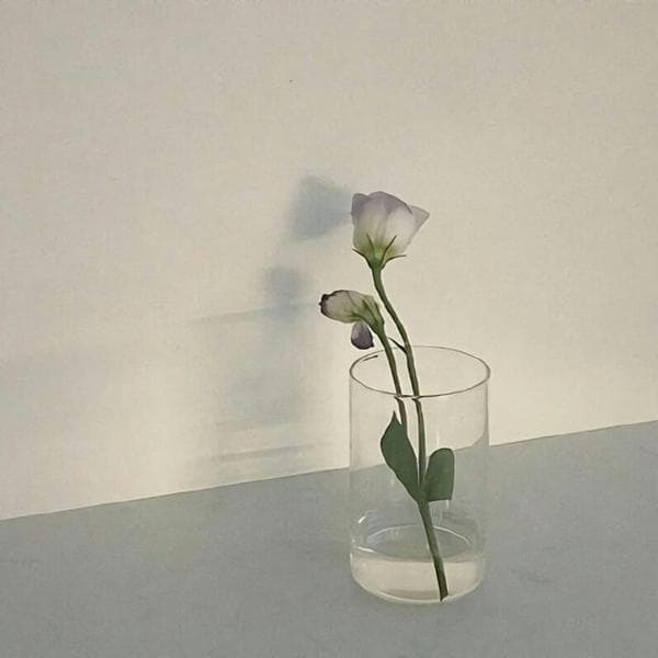 ⁰⁰²