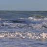 wave